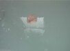 IMGA0037-01 copie